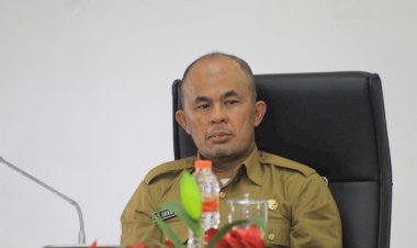 DPMPTSP Lakukan Seminar Akhir RUPM Kabupaten Labuhanbatu