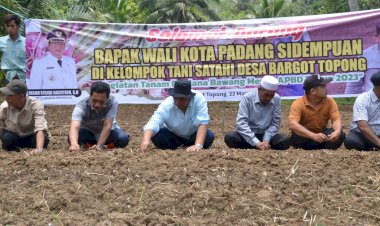 Wali Kota Hadiri Penanaman Perdana Bawang Merah