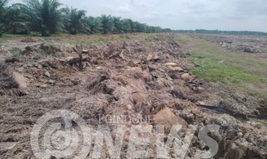 Aktivis Mahasiswa Minta BPKP Audit Replanting PTPN IV Unit Perkebunan Ajamu