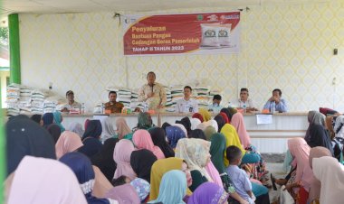 Wali Kota Padangsidimpuan Salurkan Program Bantuan Cadangan Pangan di Tiga Tempat