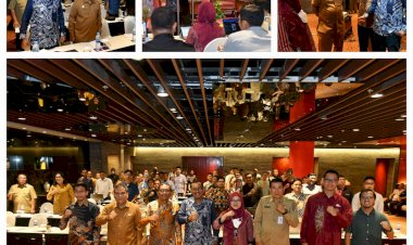 Terkait Satu Data Indonesia, Ilyas Sitorus Ingatkan Pentingnya Standarisasi Aplikasi